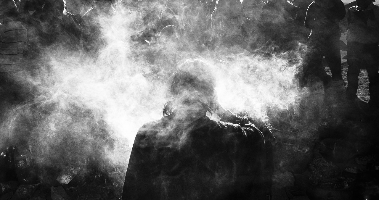 若春和景明，自然与人性的和谐共生最新章节探索